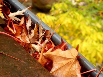 Fall Gutter Cleaning